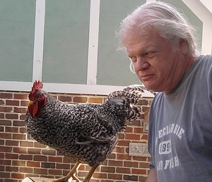 Image of chix.jpg