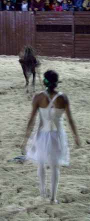 Image of bullfight_dress.jpg